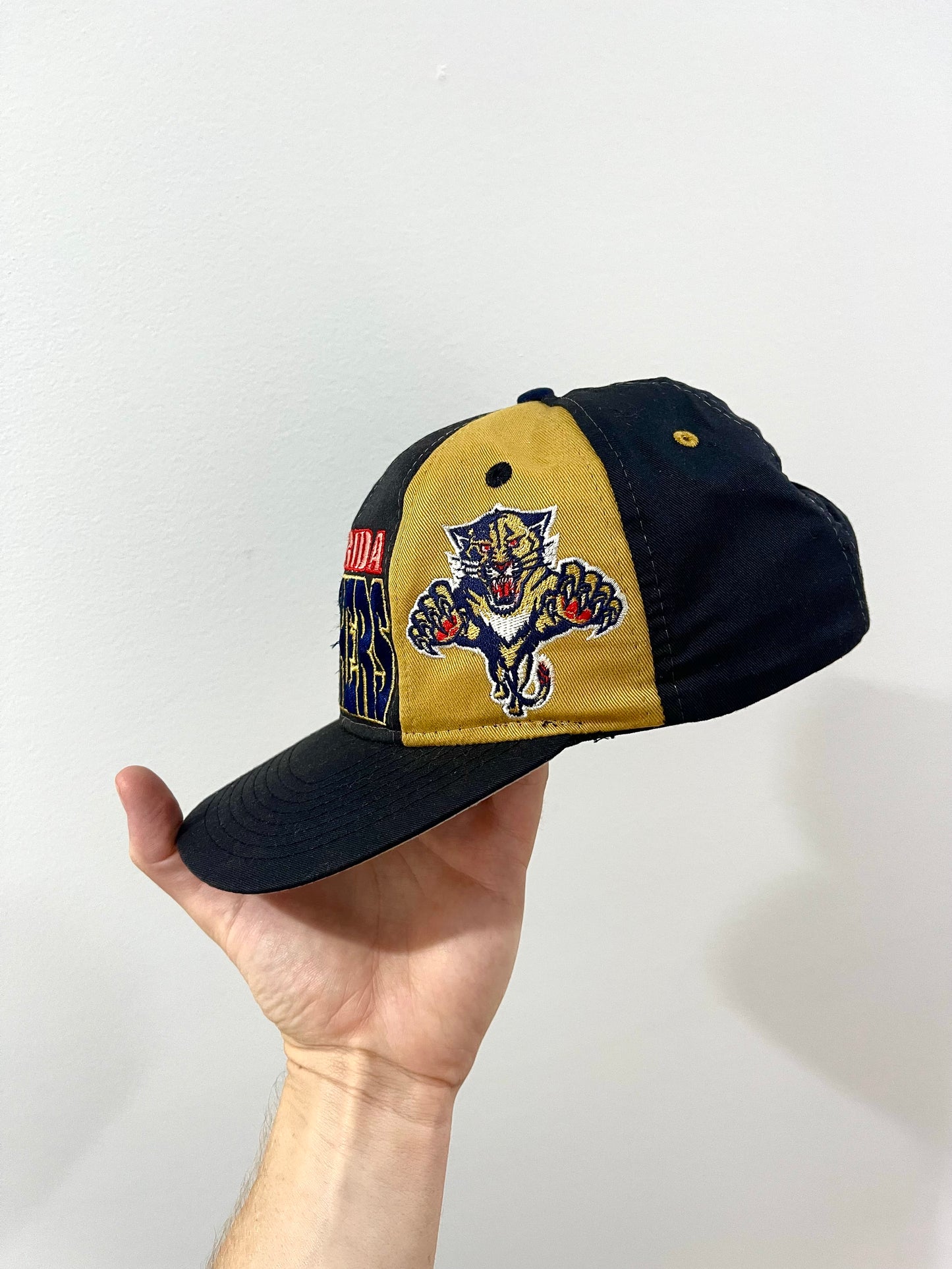 Florida Panthers Dre Pearson Hat